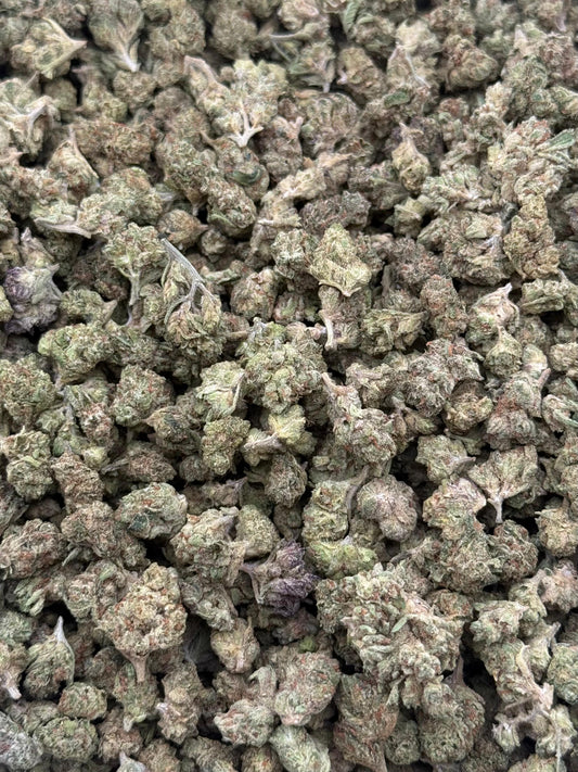 Motor Breath #238