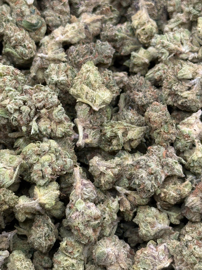 Motor Breath #238