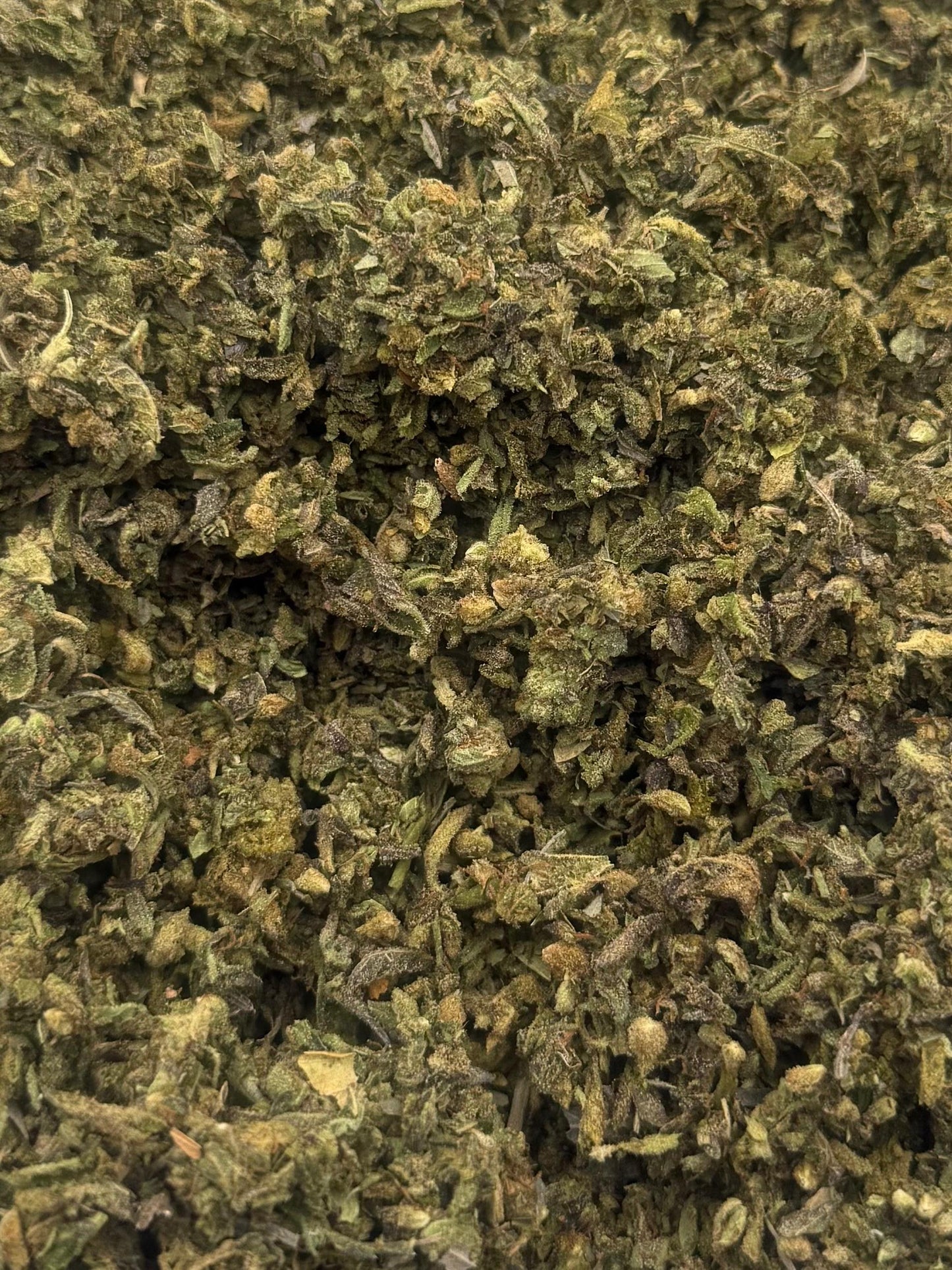 Northern Lights #204 Shake