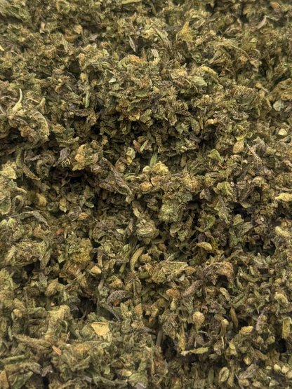 Northern Lights #204 Shake