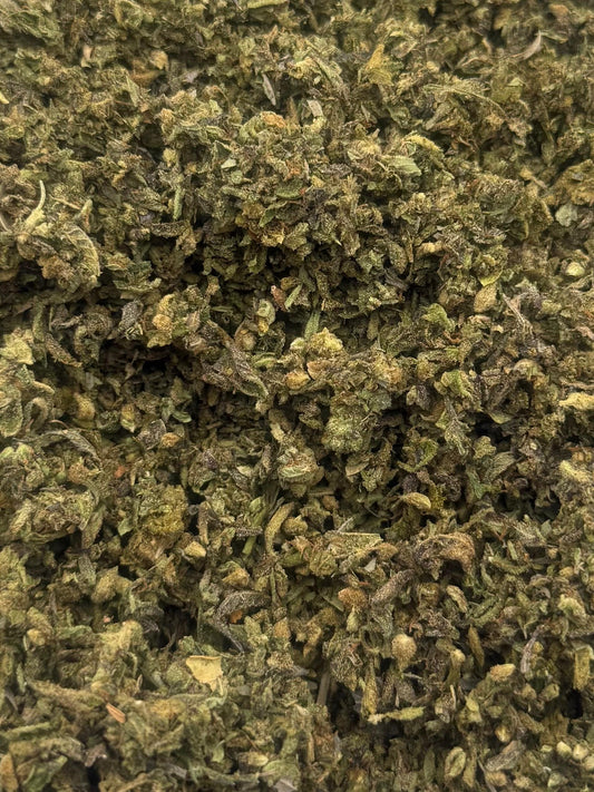 Northern Lights #204 Shake