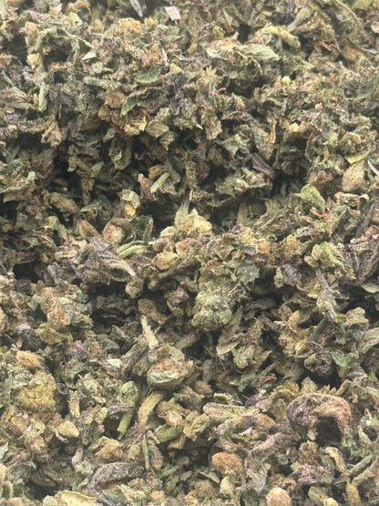 Northern Lights #204 Shake