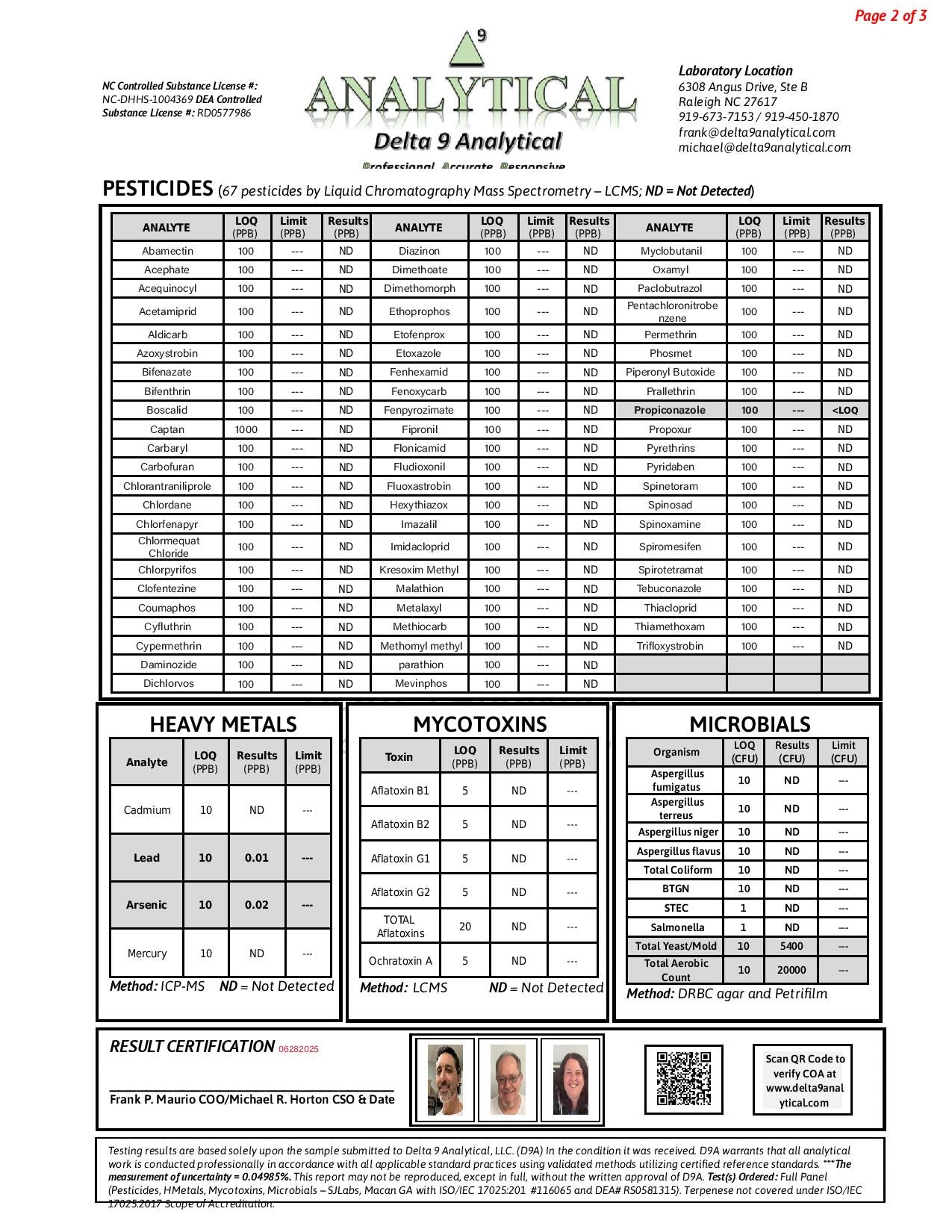 Northern Lights #204 Shake