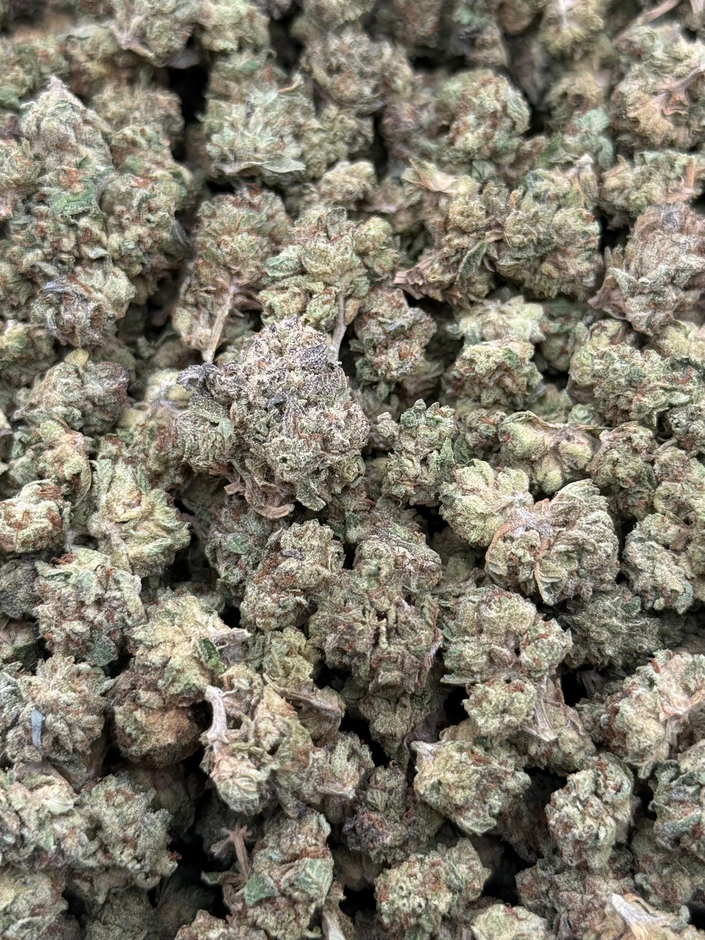 OG Kush #161