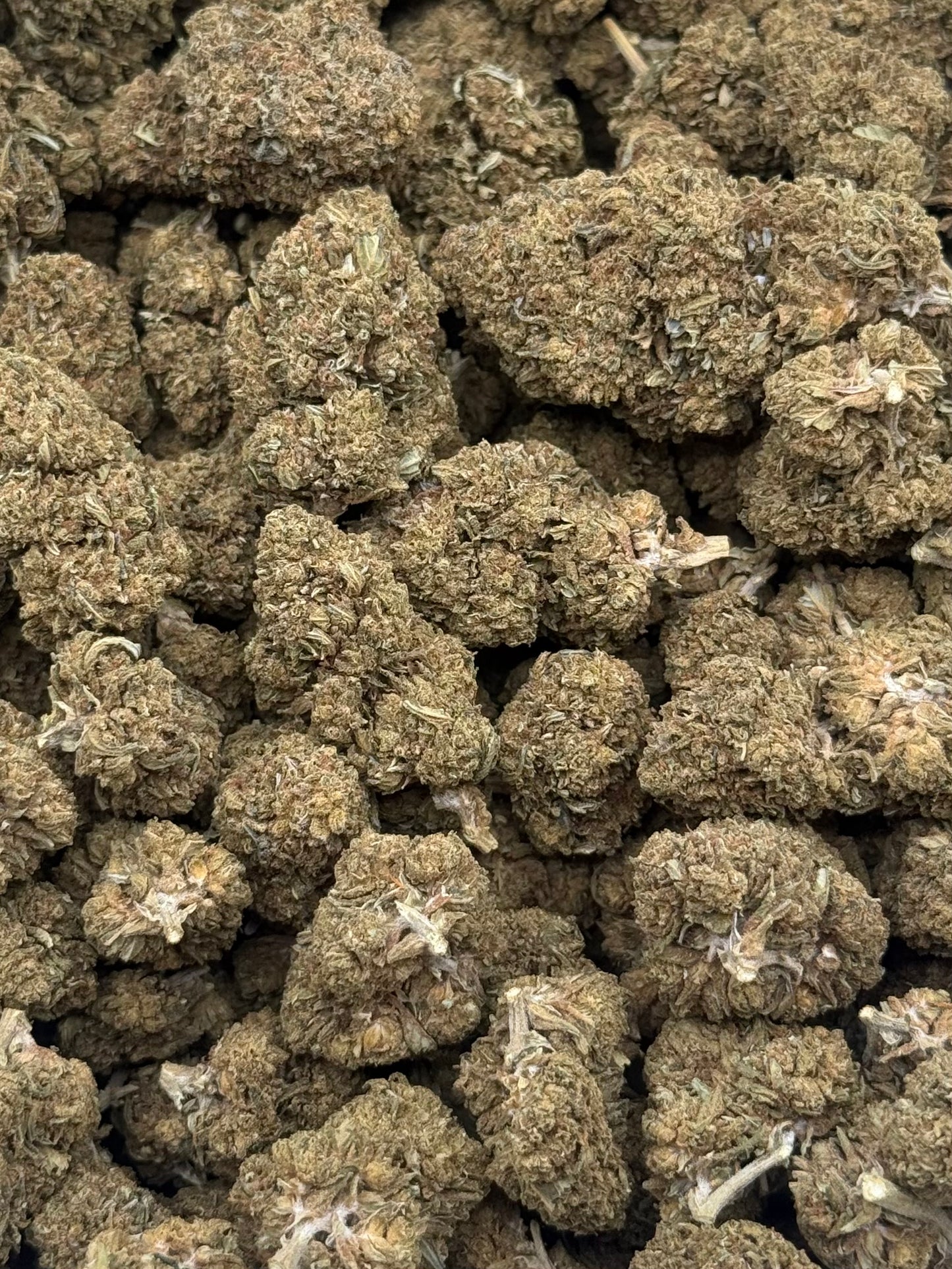 Oreo #299 | QP