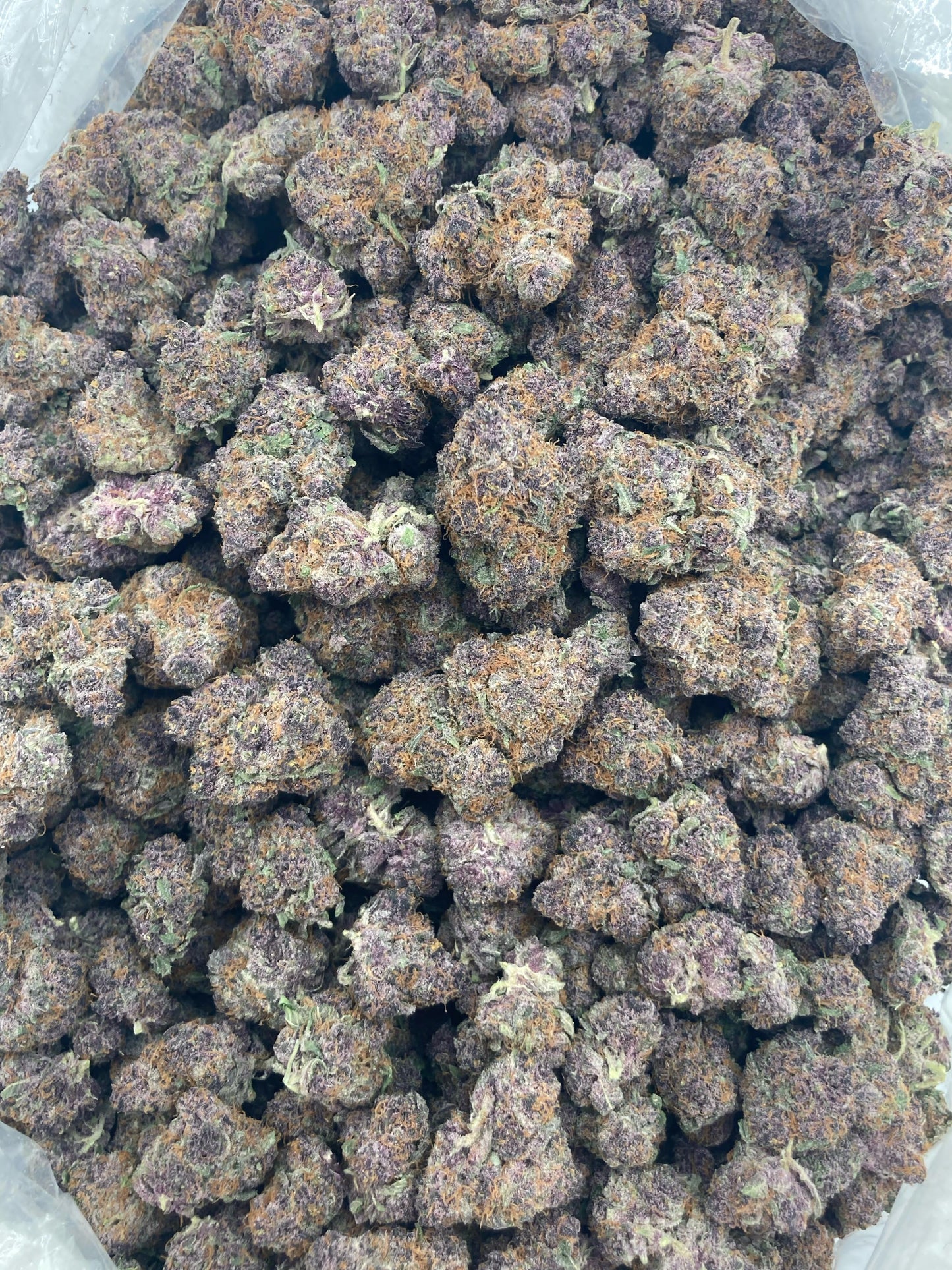 Raspberry Kush