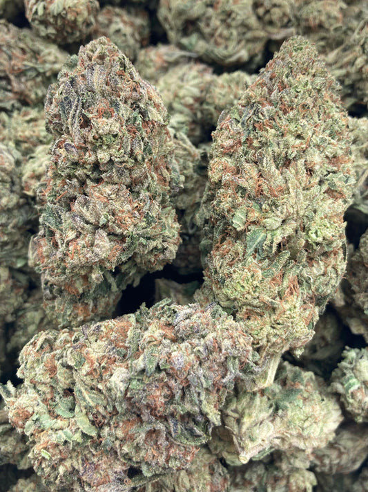 White Skunk