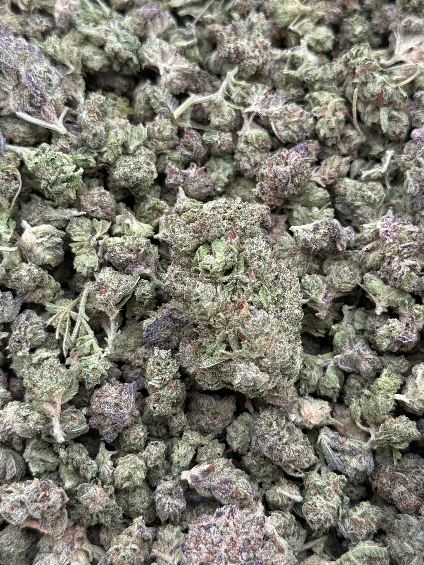 Pac Man #325