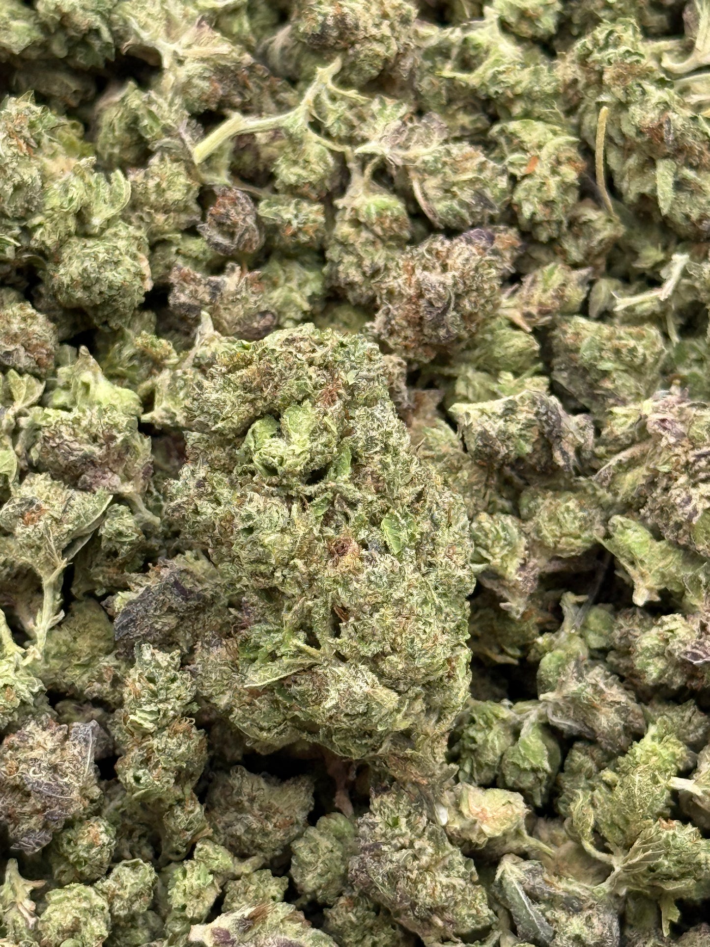 Pac Man #325