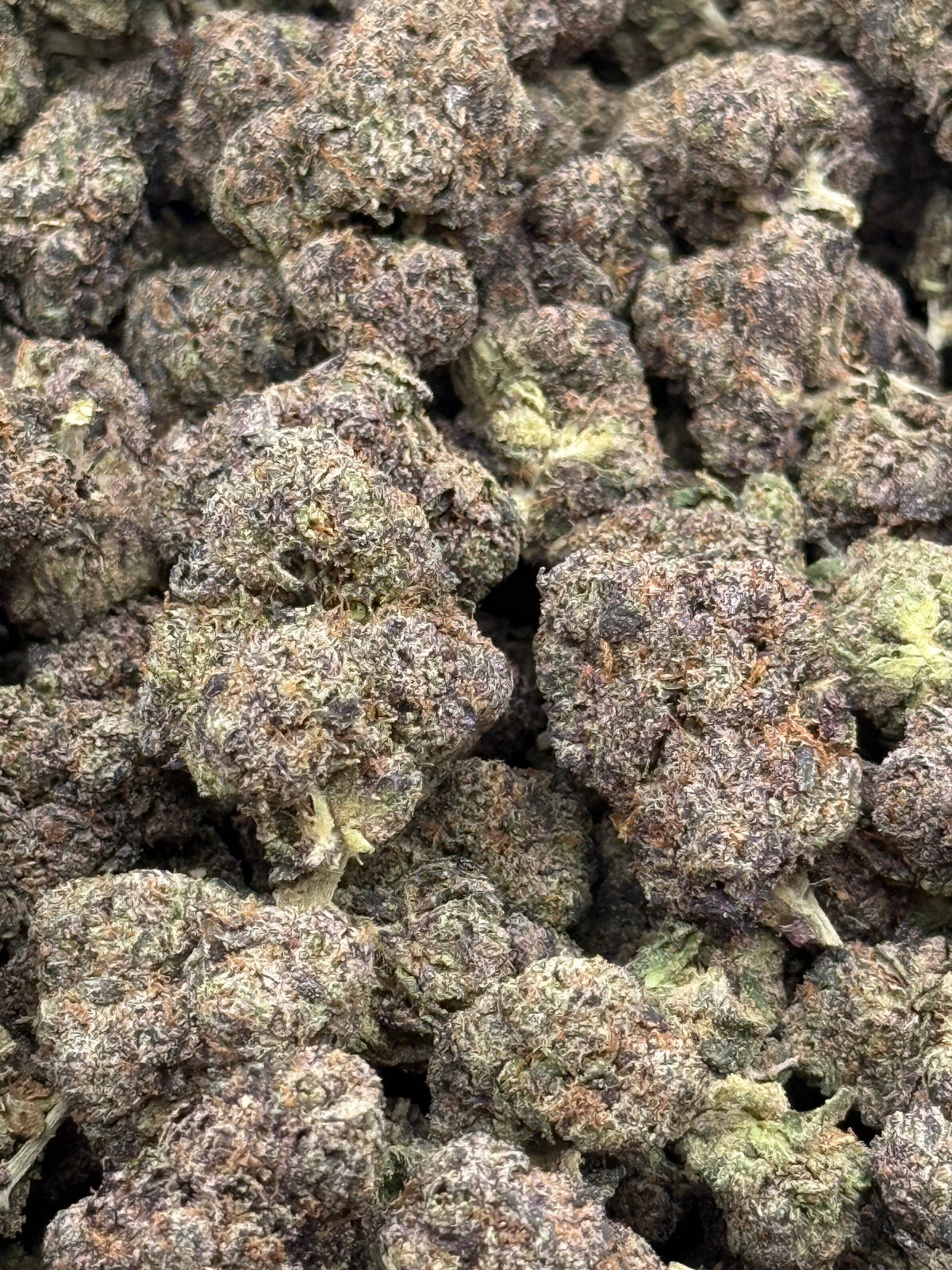 Panda Foolio #393 | 1/2 lb