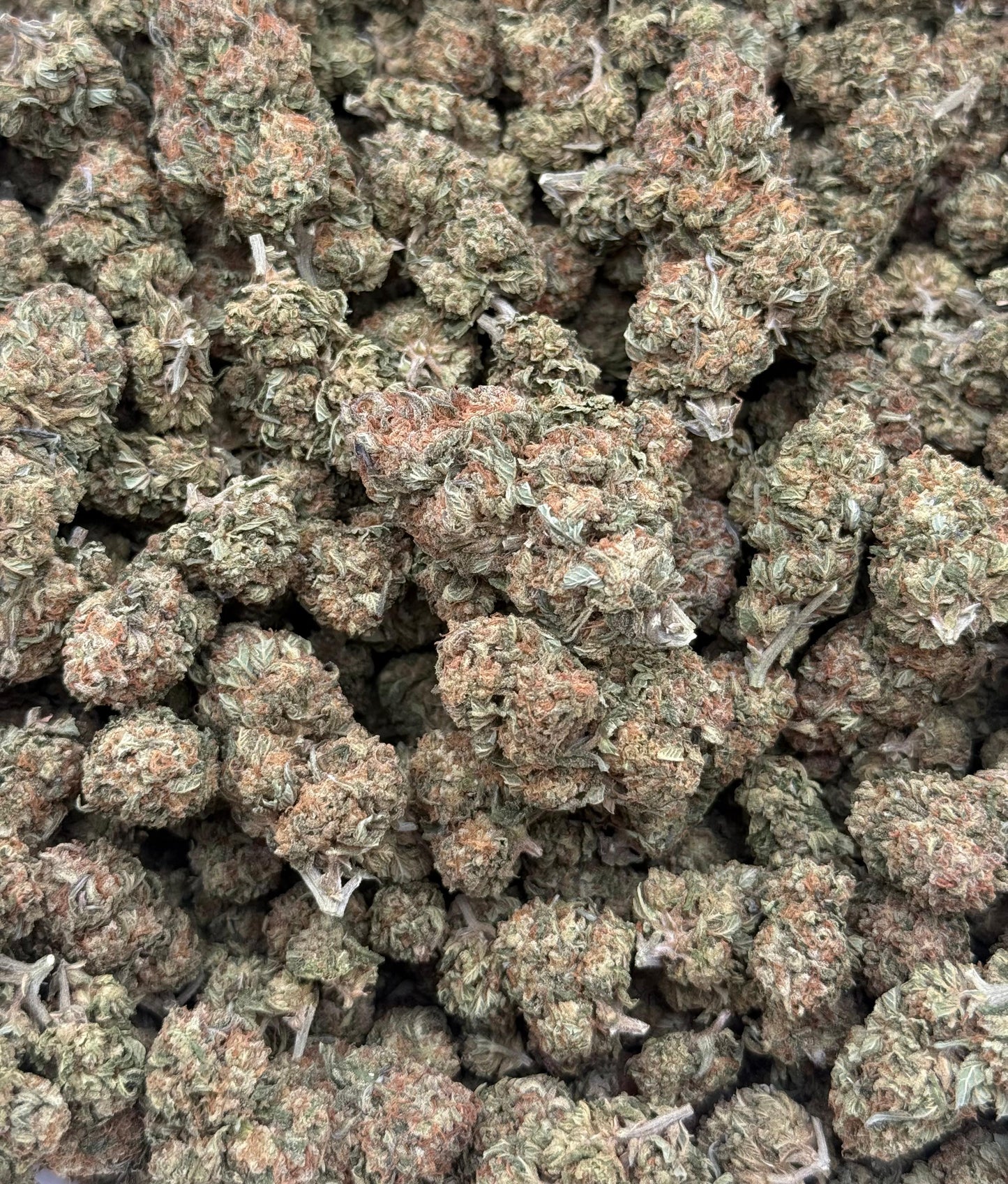 Pink Berry #207