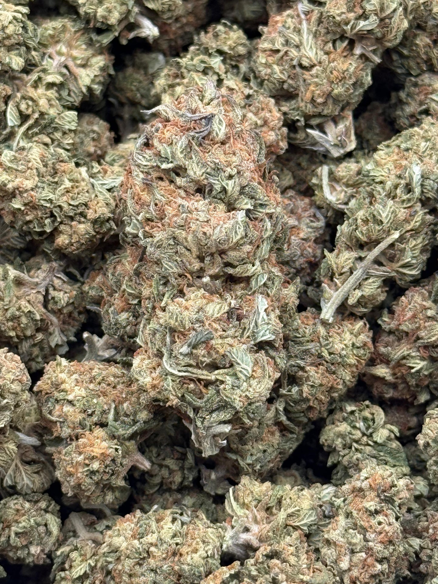 Pink Berry #207