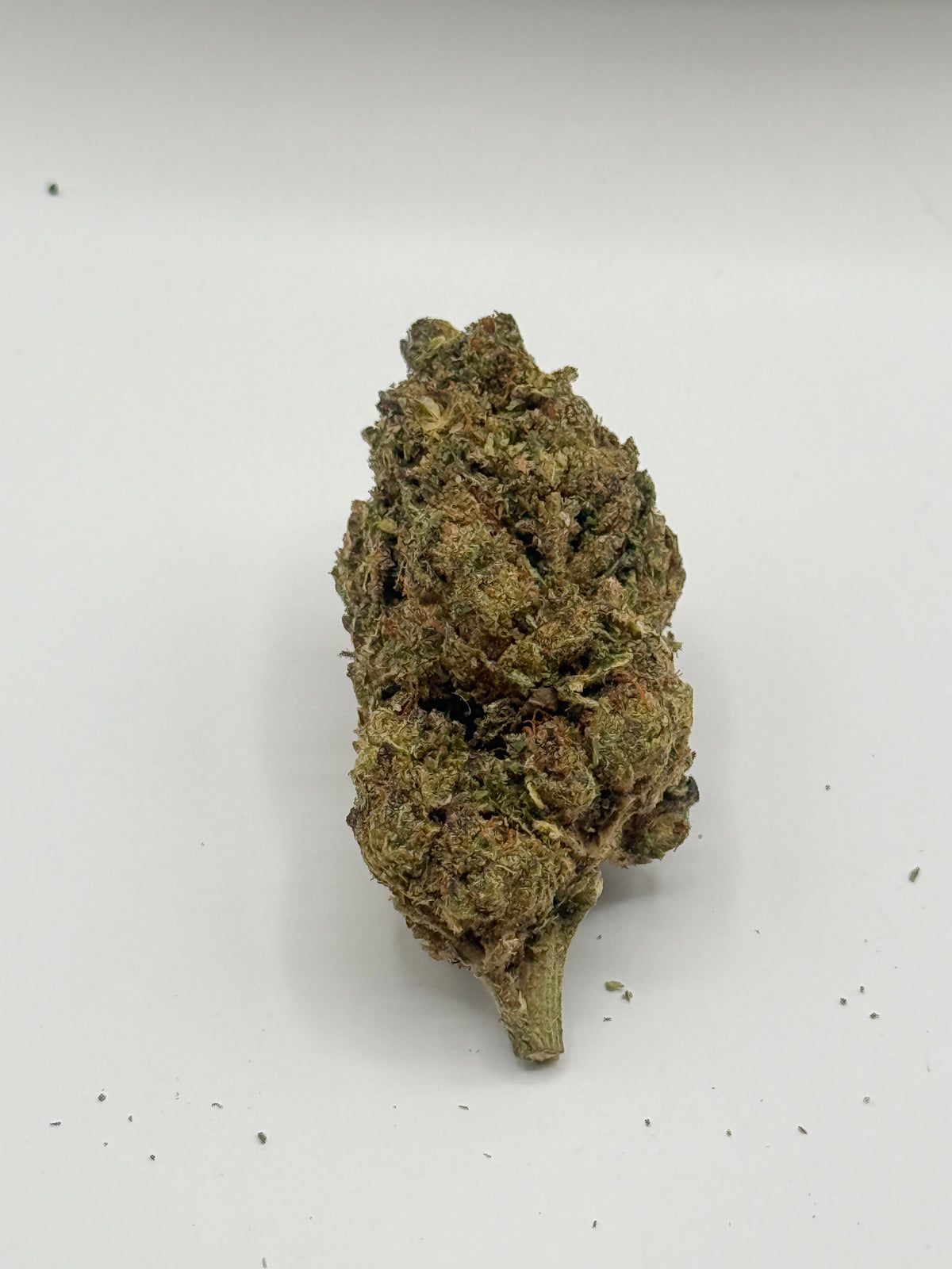 Pink Cream #505