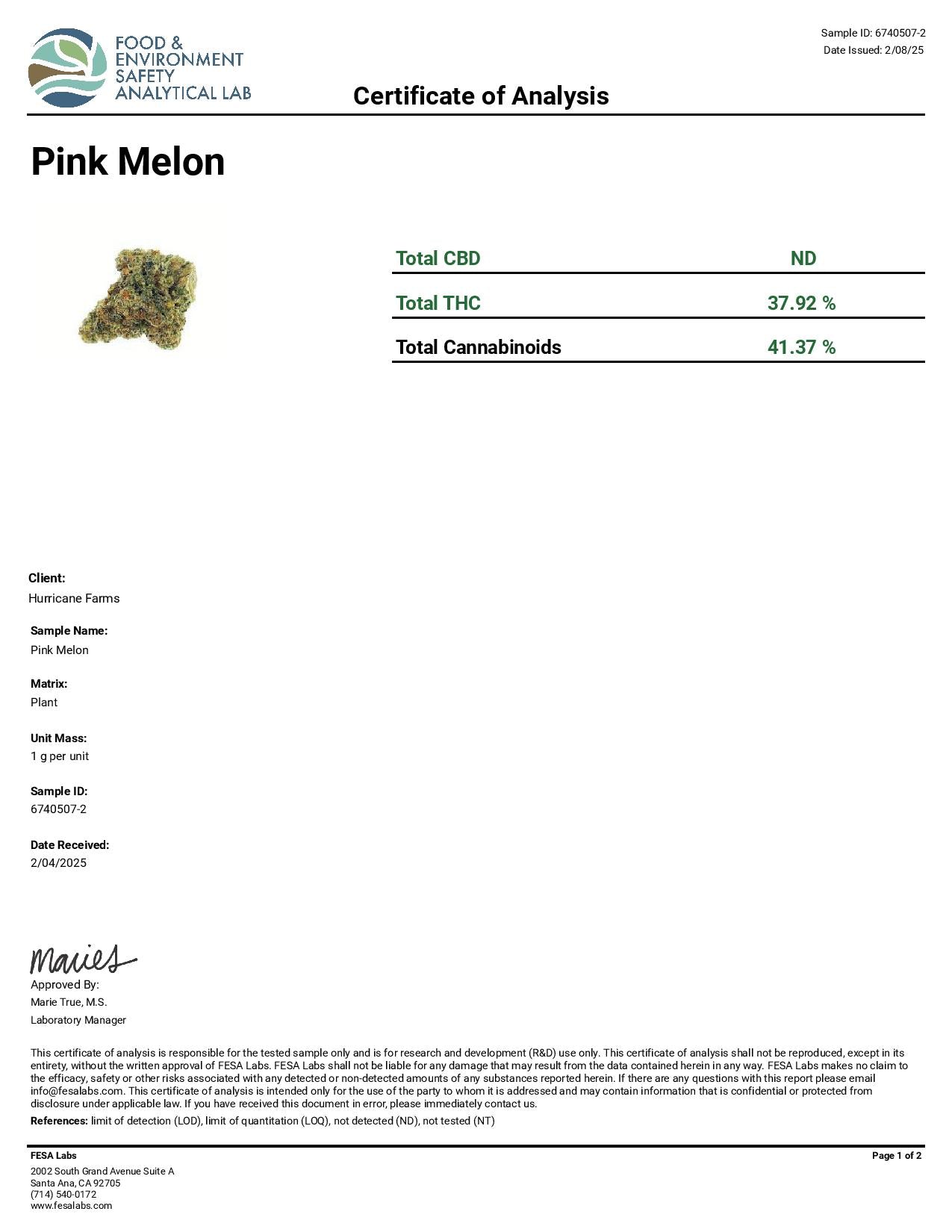 Pink Melon