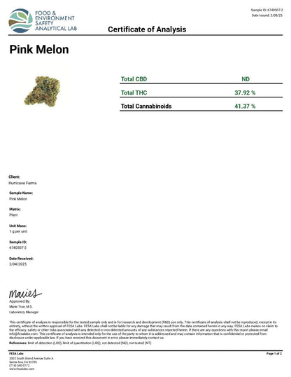Pink Melon