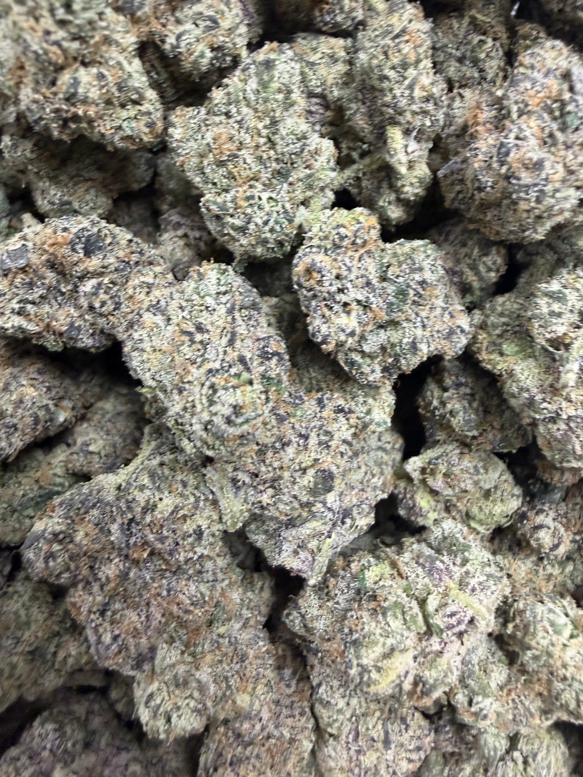 Pink Nerdz #248 | QP