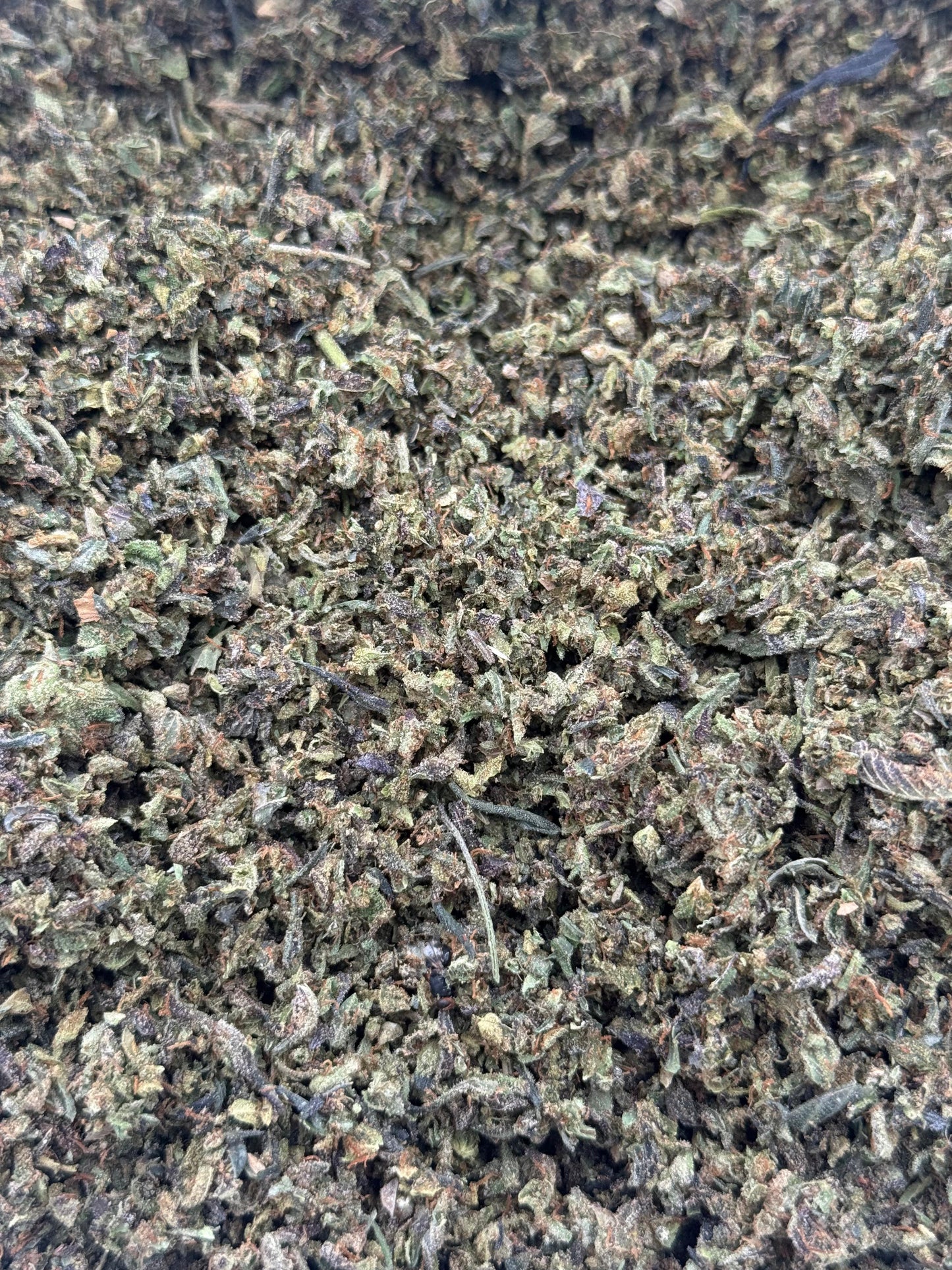 Platinum OG #197 Shake