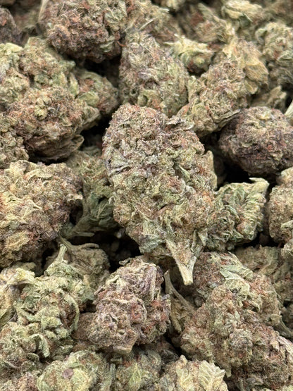 Platinum OG #520