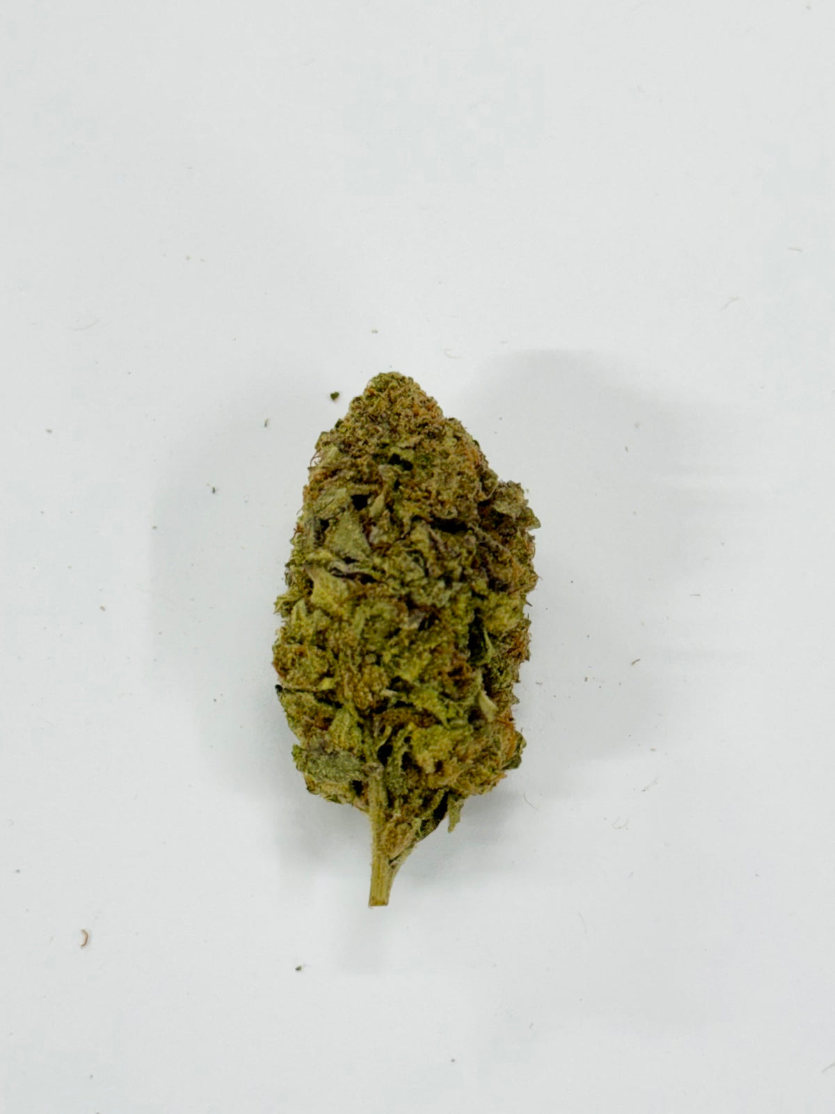 Platinum OG #520