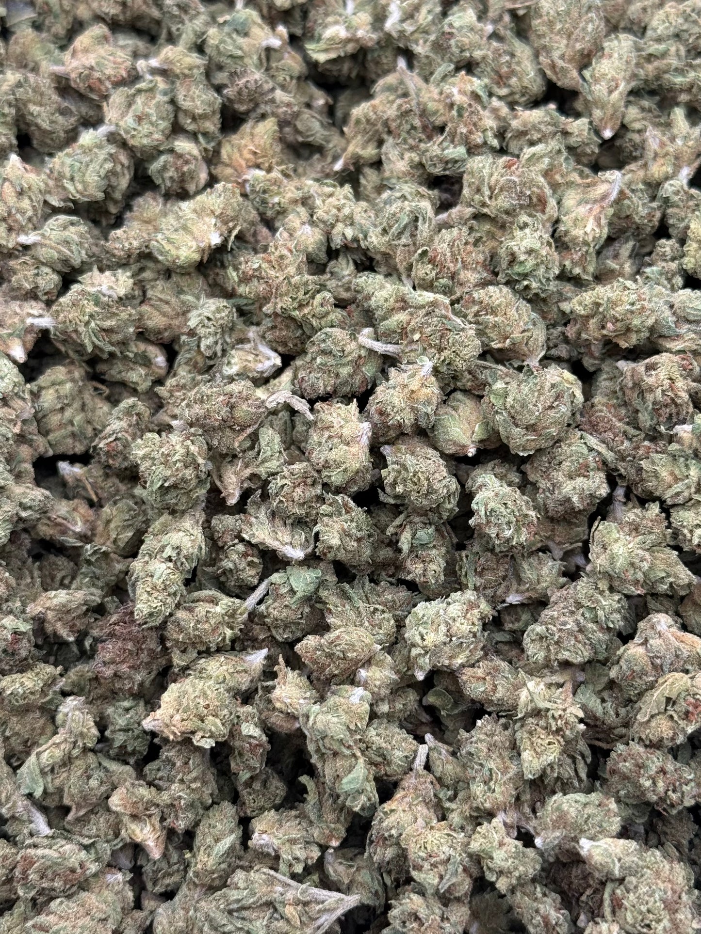 Pound Cake #254