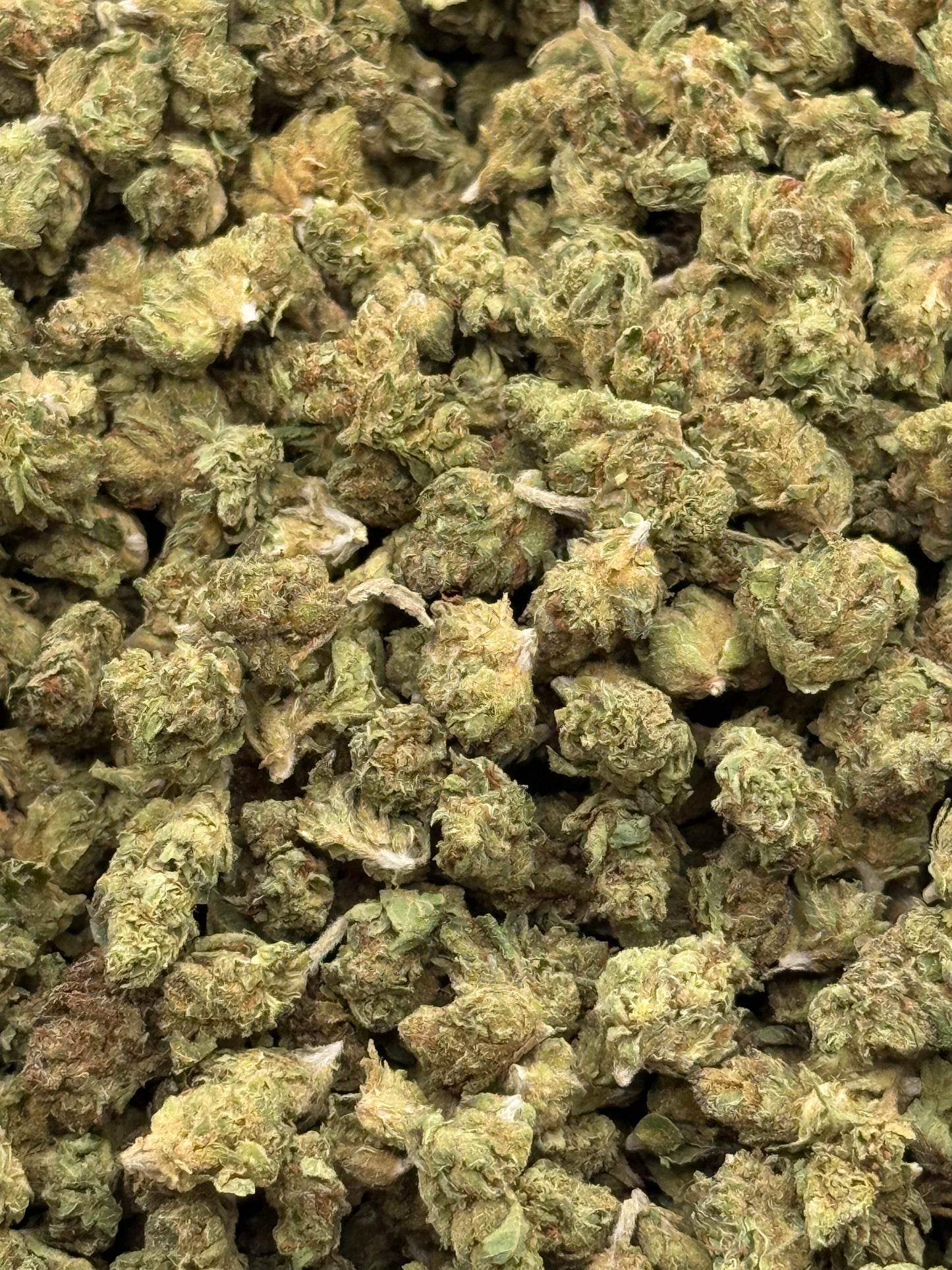 Pound Cake #254