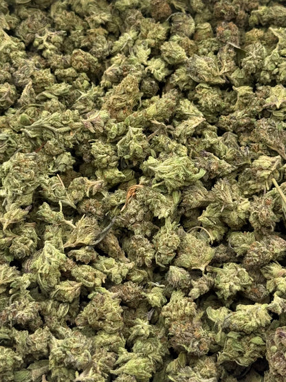 Pumkin Spice #519