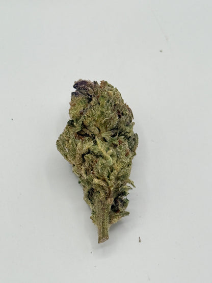 Pumkin Spice #519