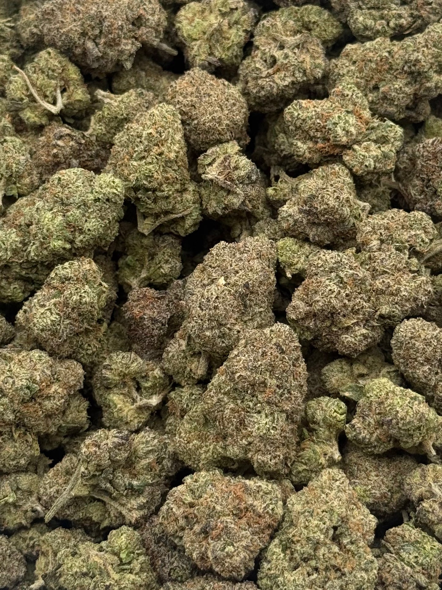 Purple Ghost #282 | QP