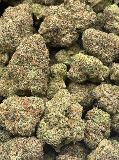 Purple Ghost #282 | QP