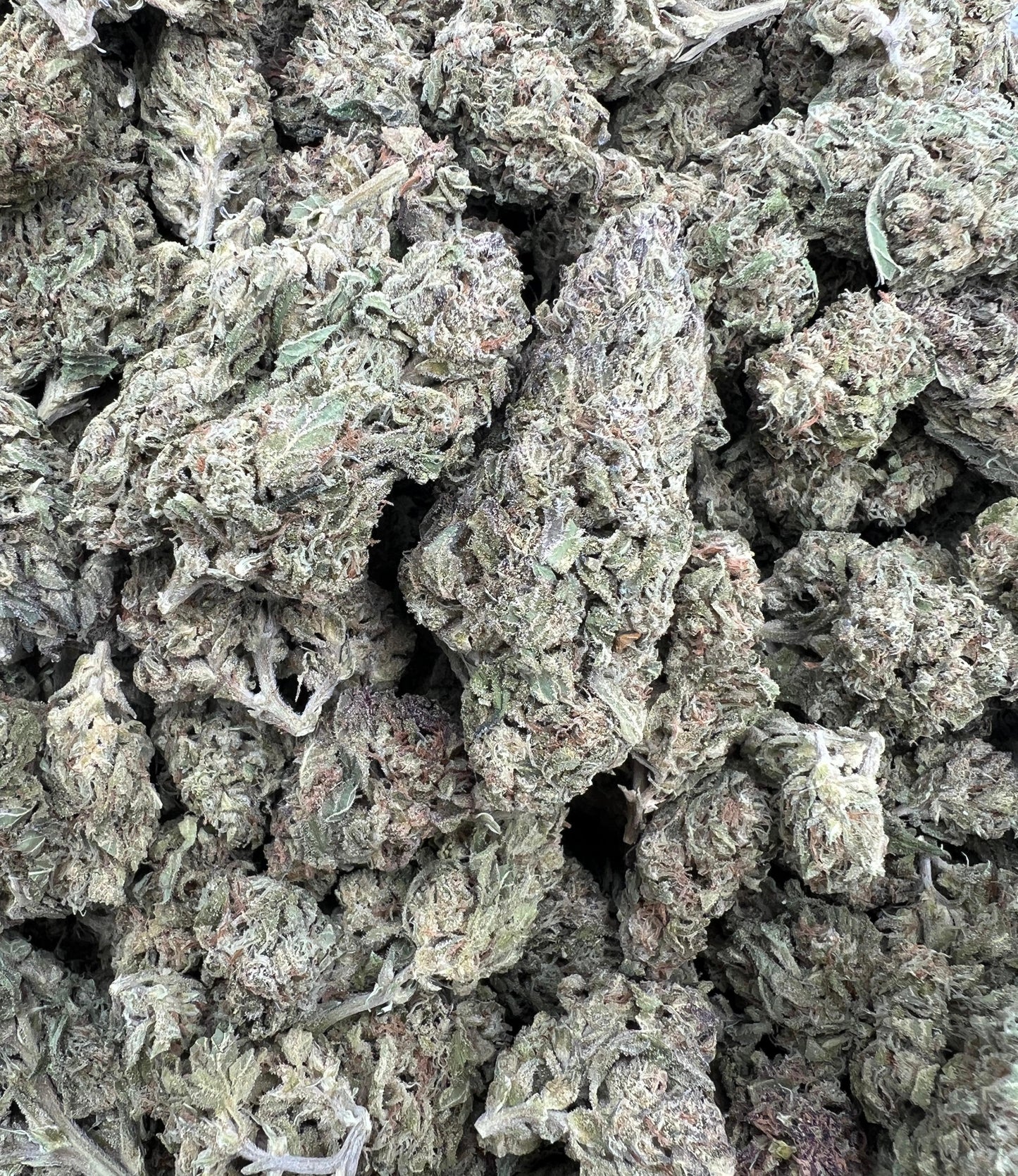 Purple Rain