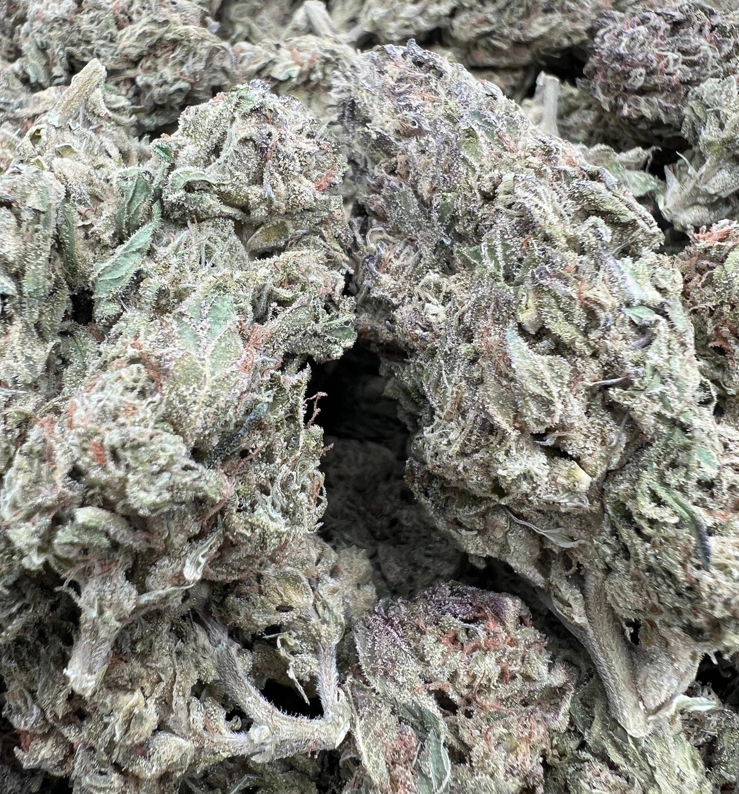 Purple Rain
