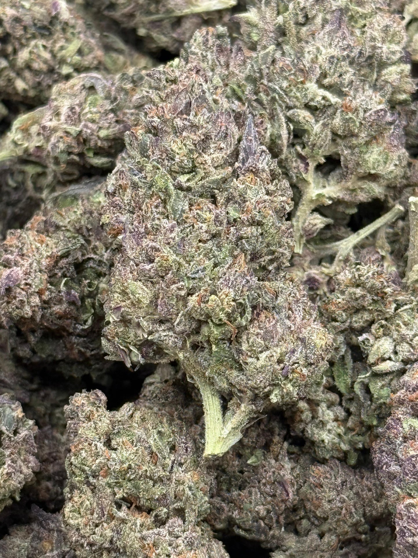 Purple Barney #126 | 1/2 lb
