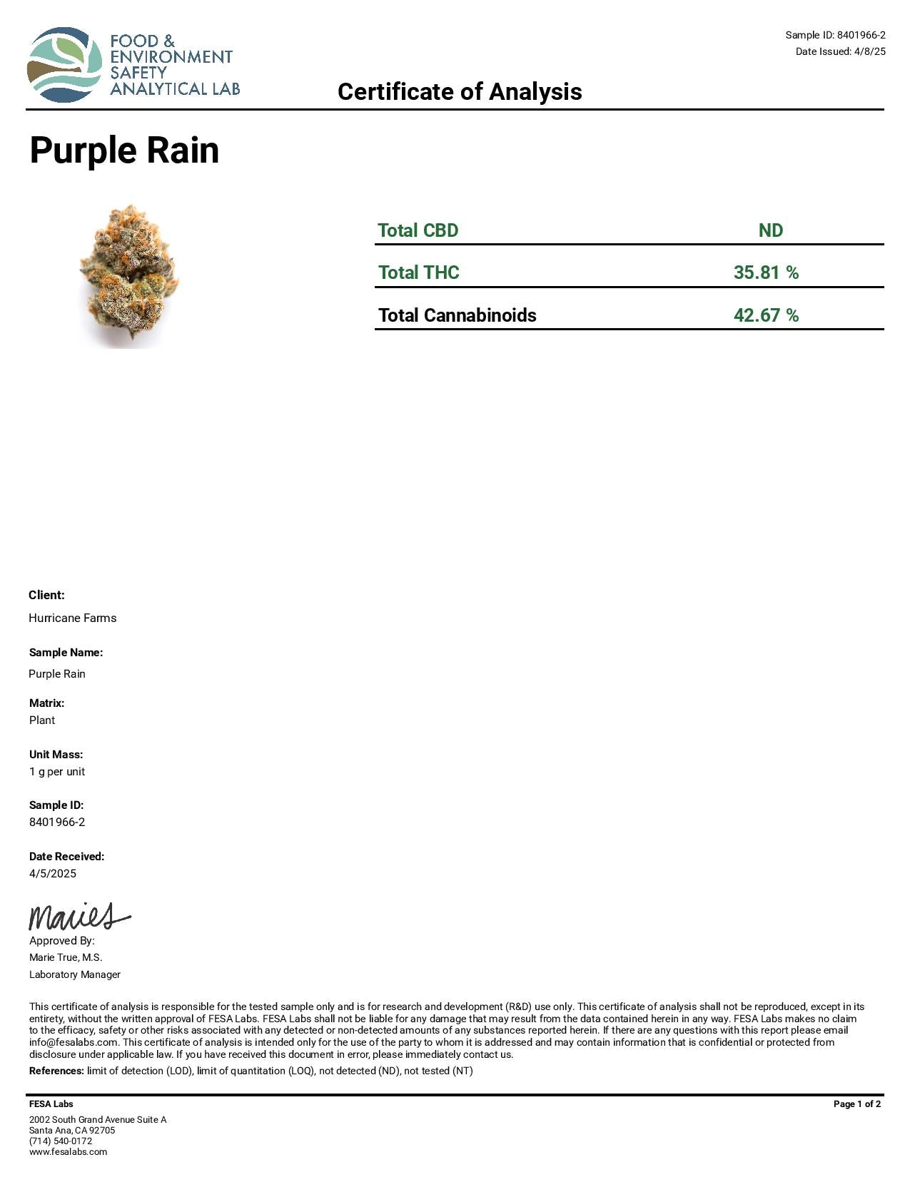 Purple Rain