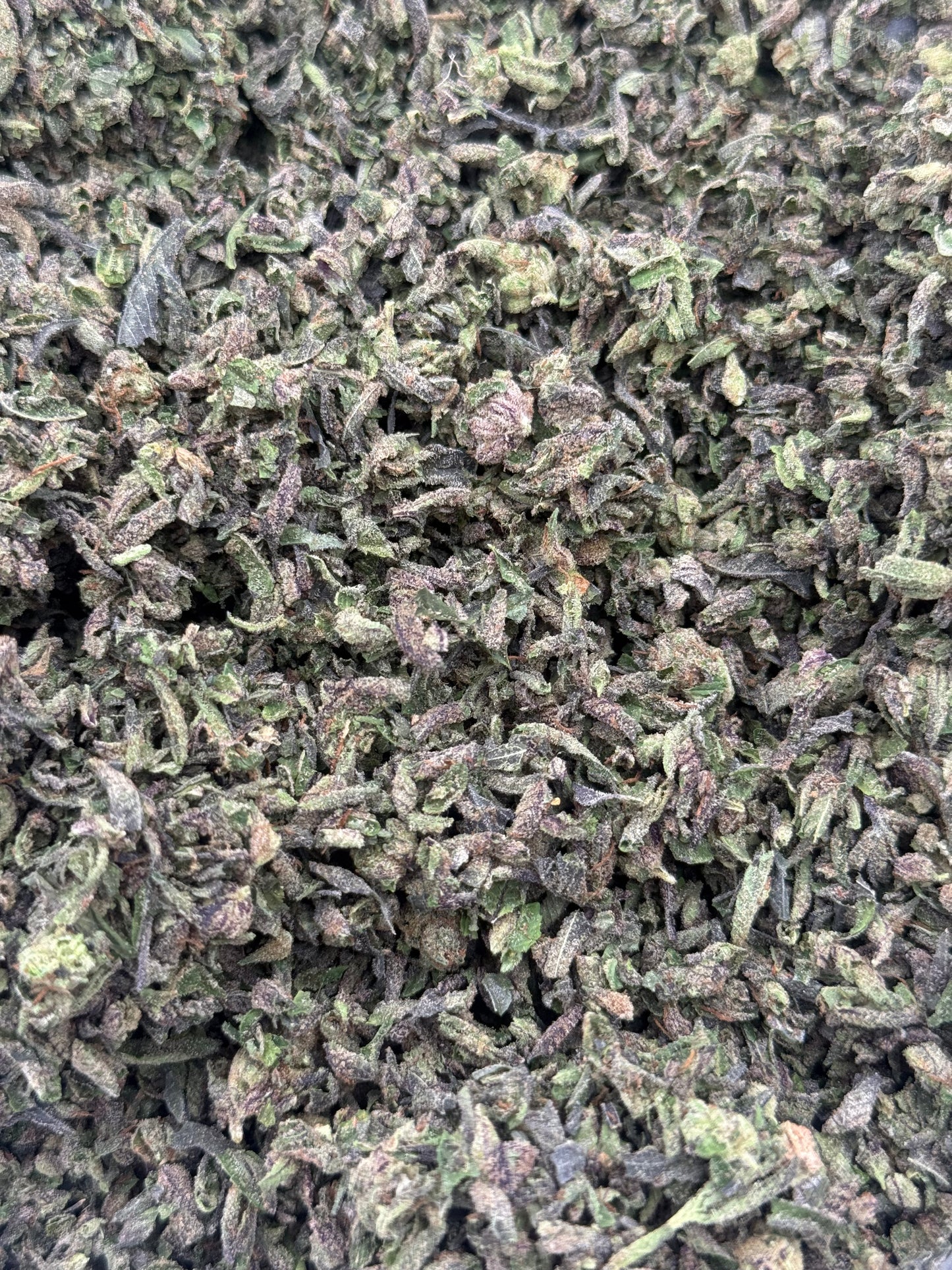 Rainbow Sherb #361 Shake