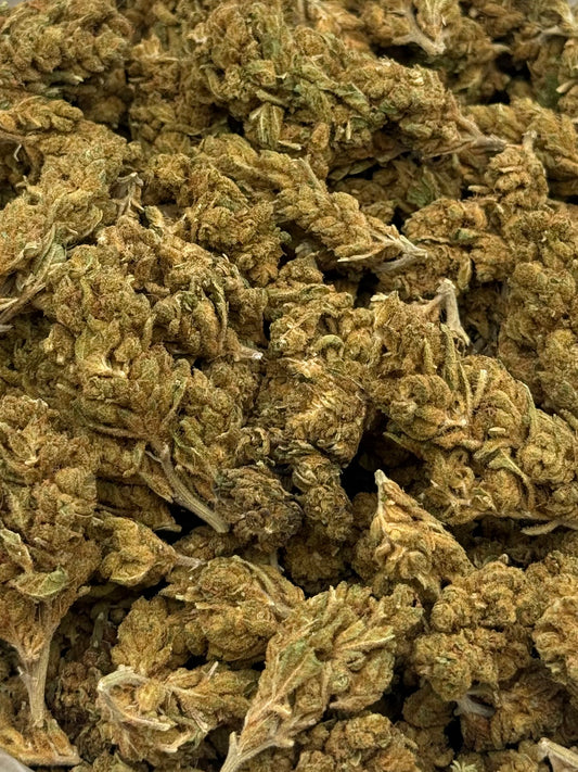 Rascal OG #431