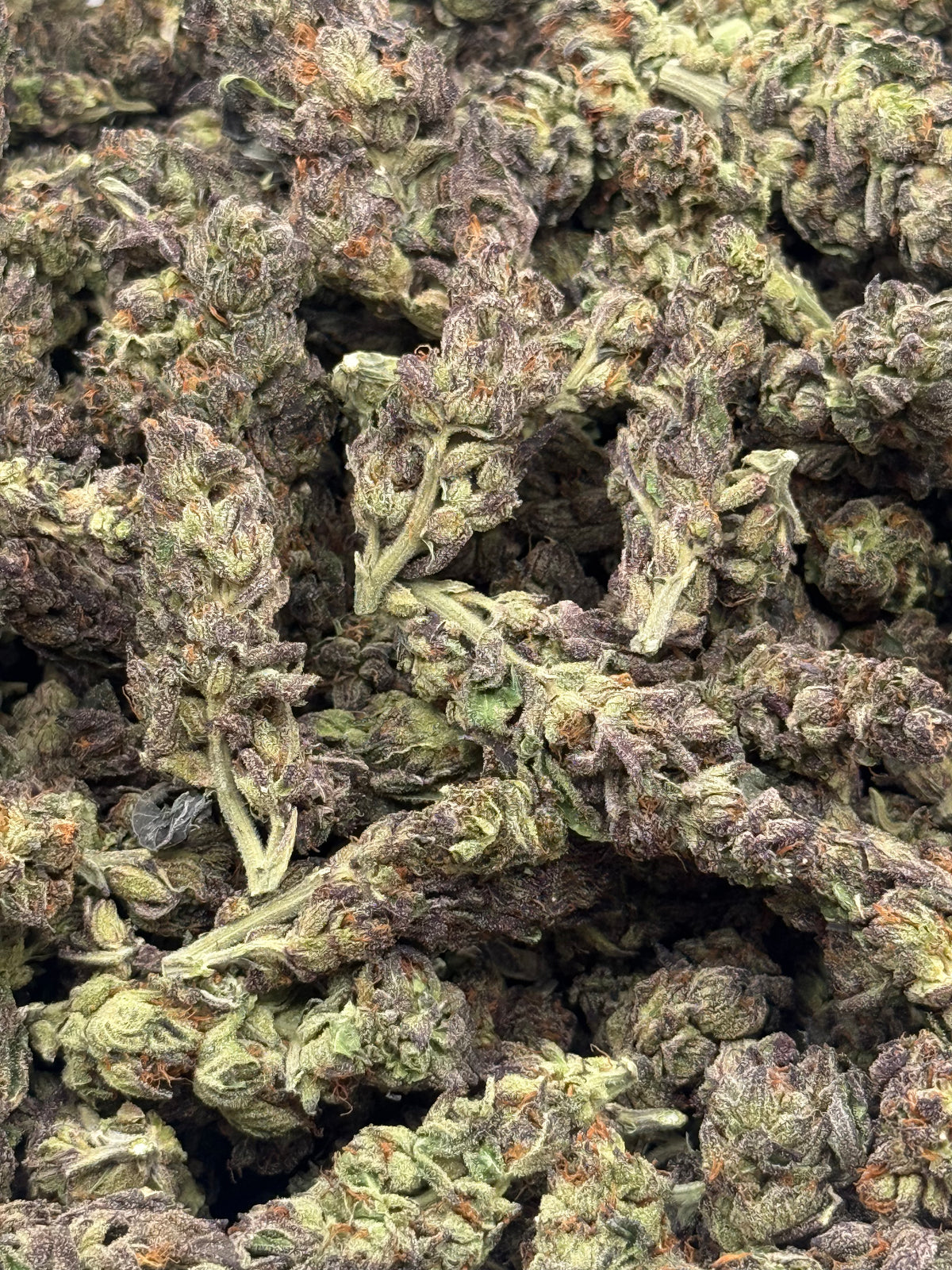 Raspberry Pie #501 | QP
