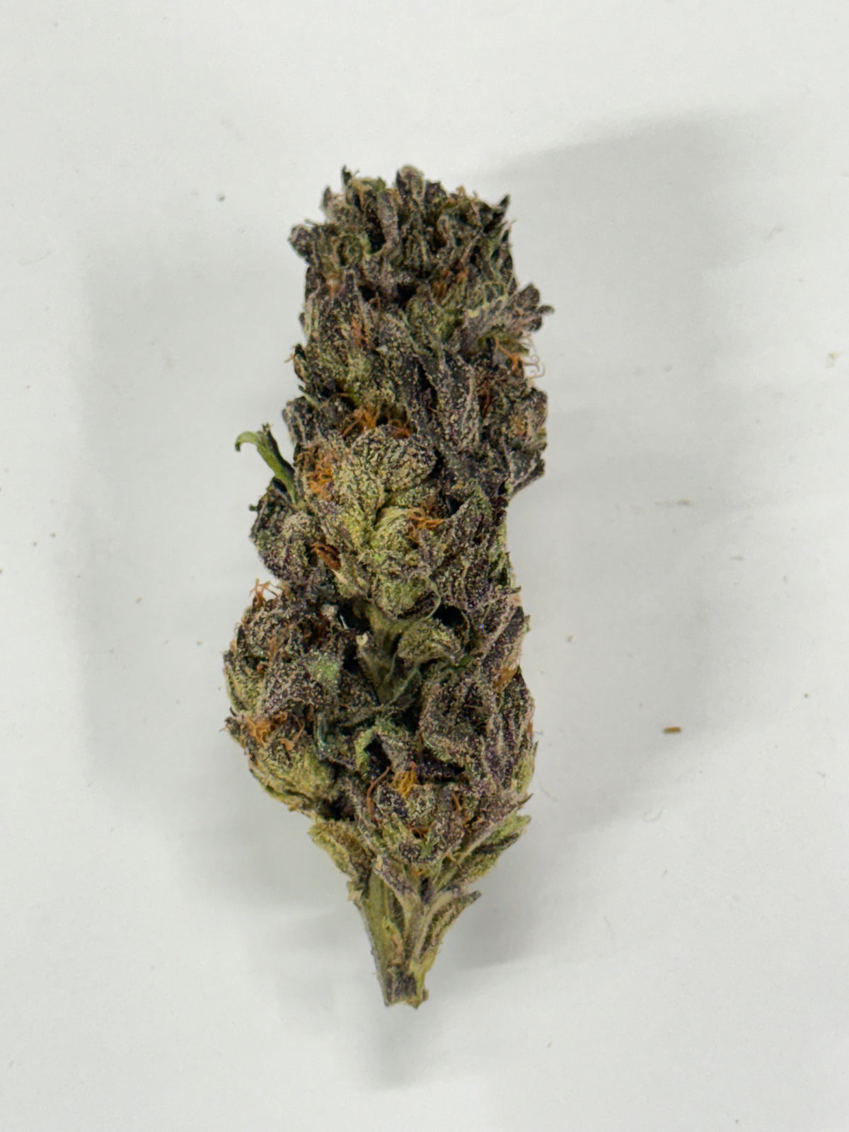 Raspberry Pie #501 | QP