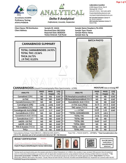 Raspberry Pie #501 | QP