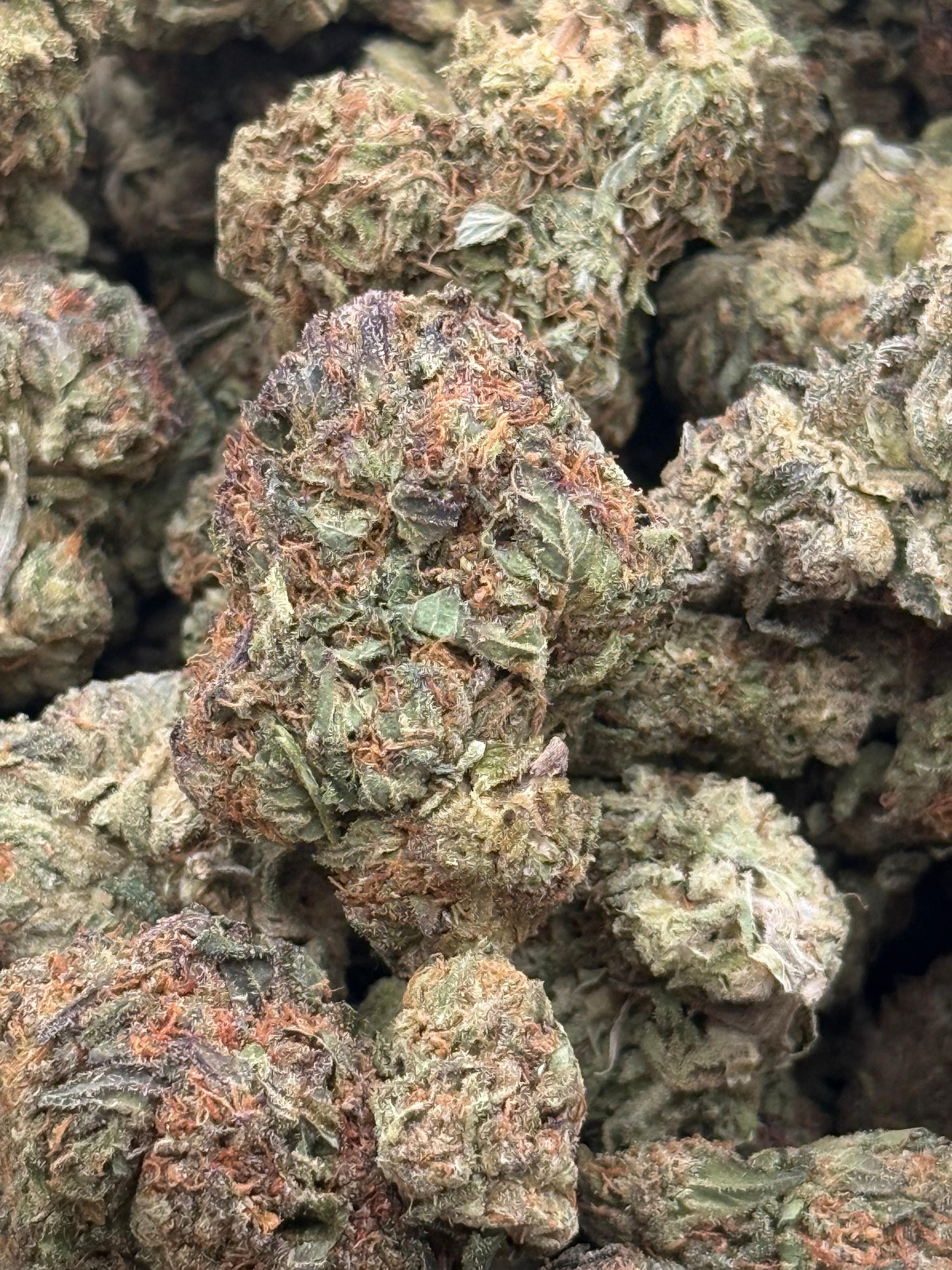 Red Velvet #210