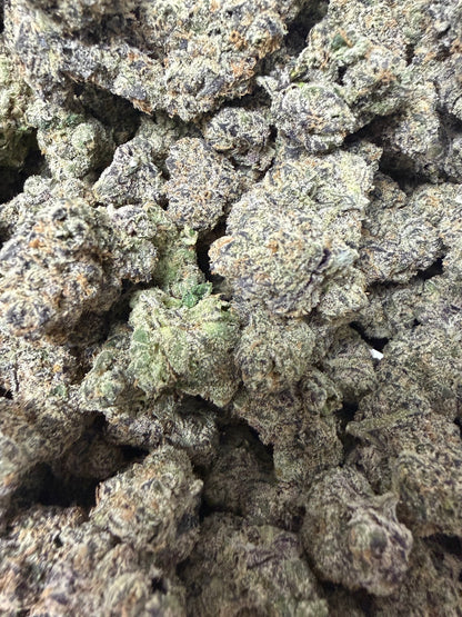 Richie Rich #245 | QP
