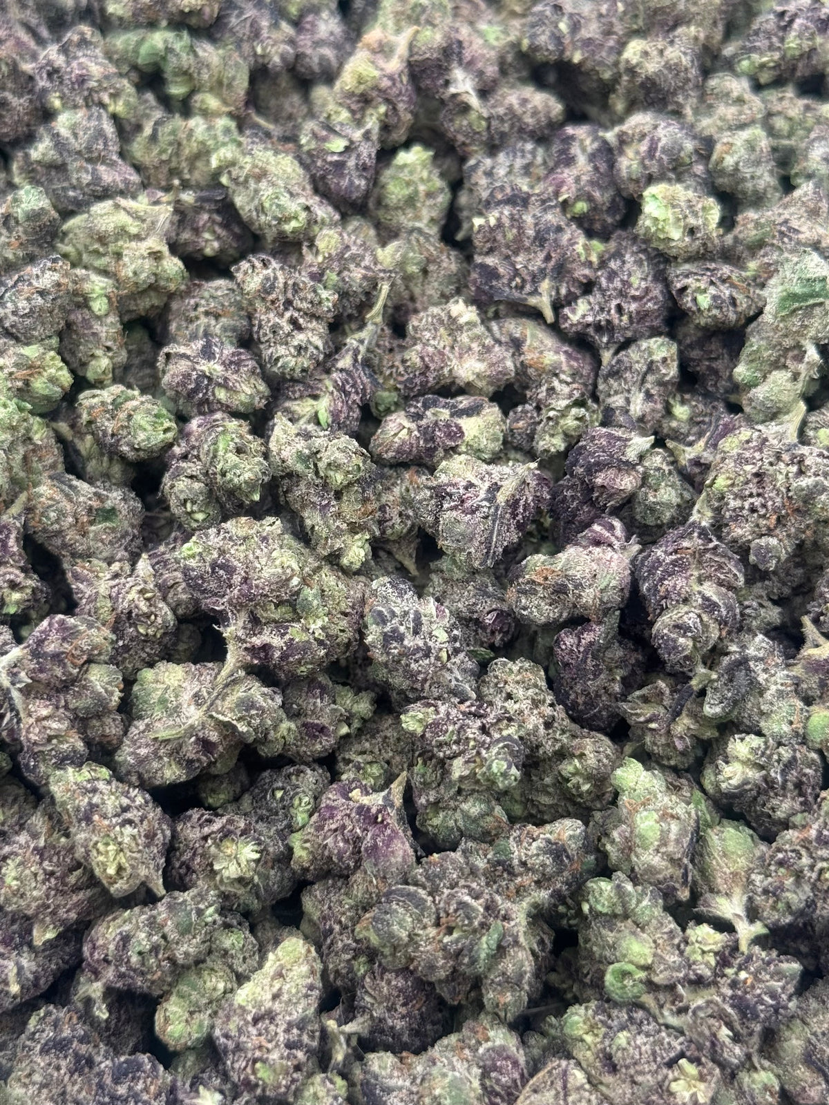 Rolls Royce #549 | 1/2 lb