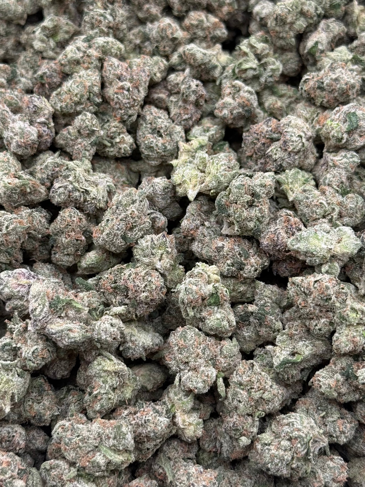 Royal Cherries #273 | 1/2 lb