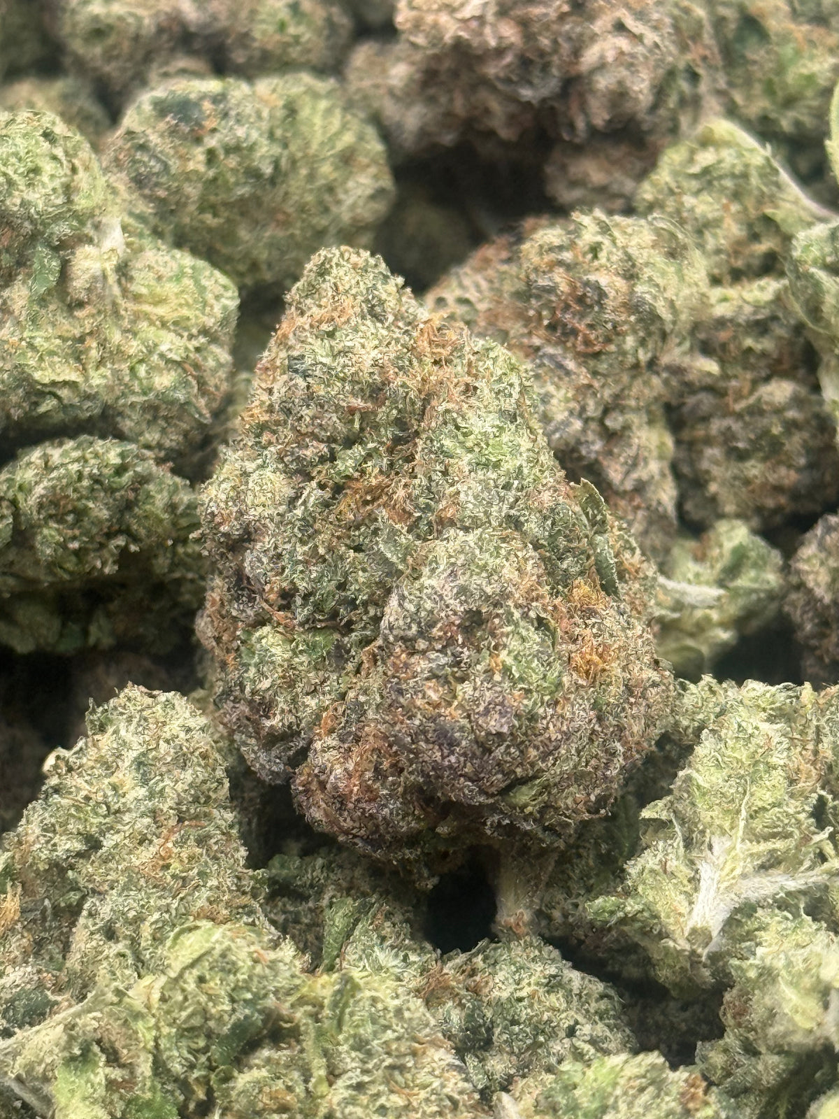 Scat Pack #348 | QP