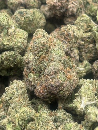 Scat Pack #348 | QP