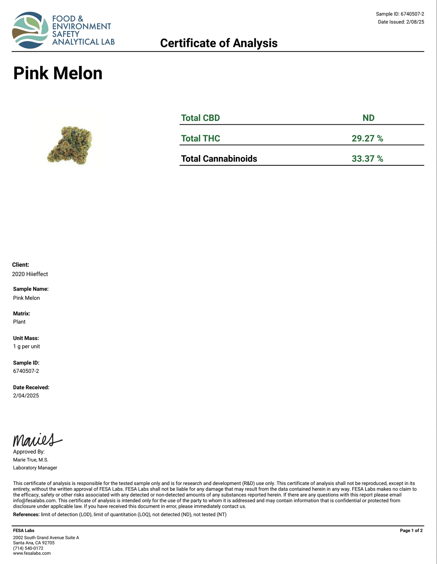 Pink Melon