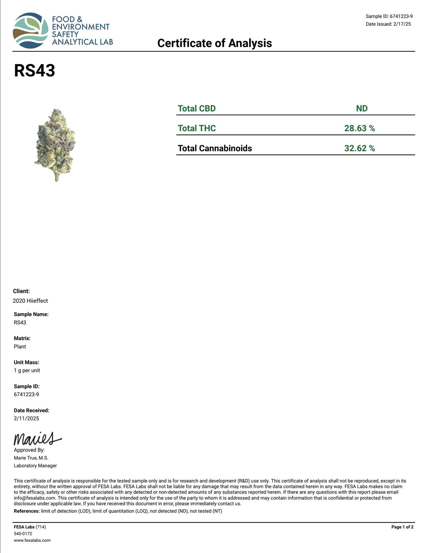 RS 43