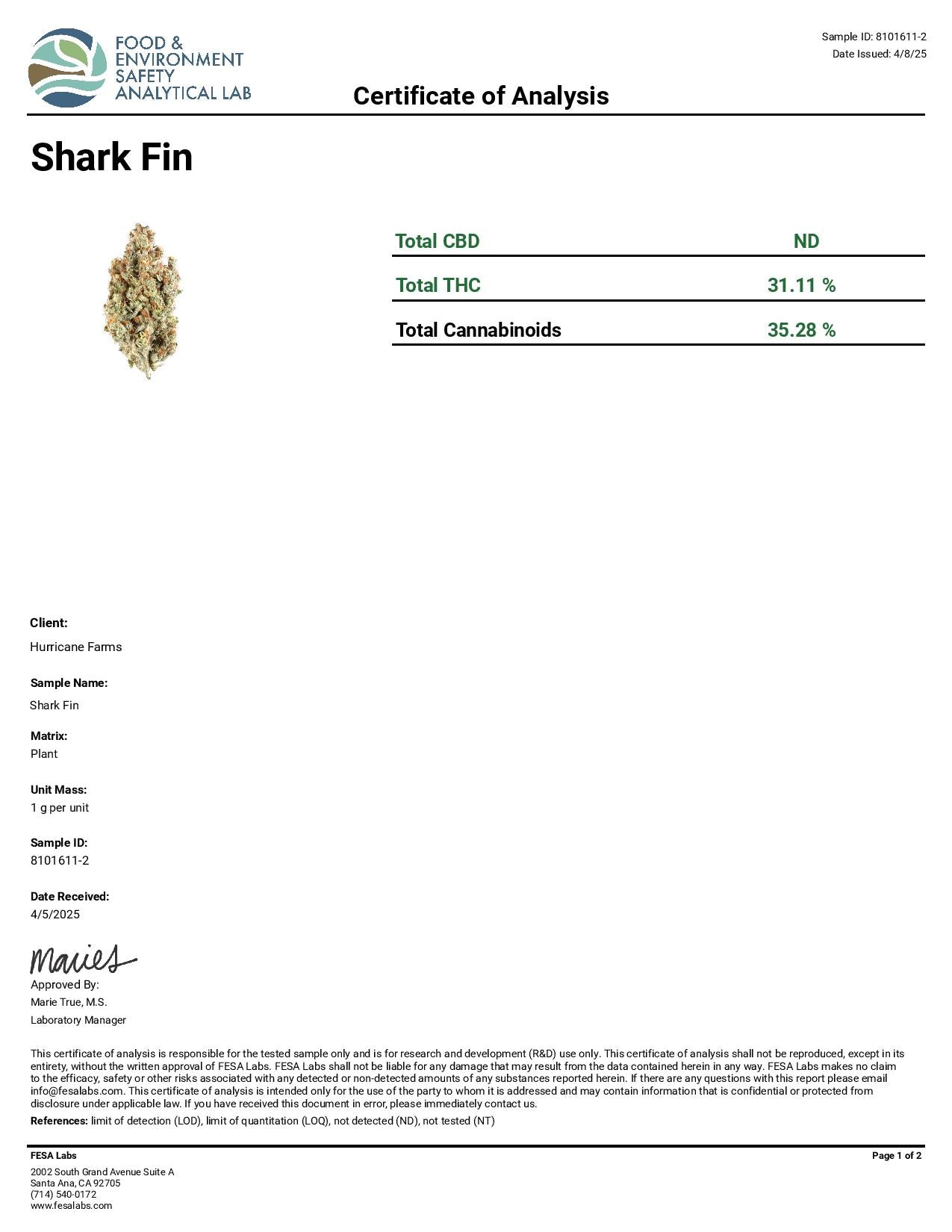 Shark Fin