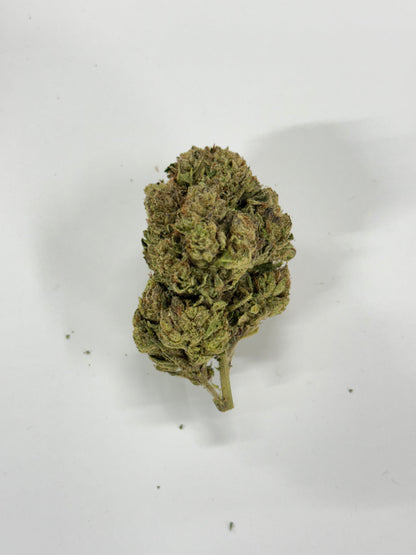 Silver Dollar #509