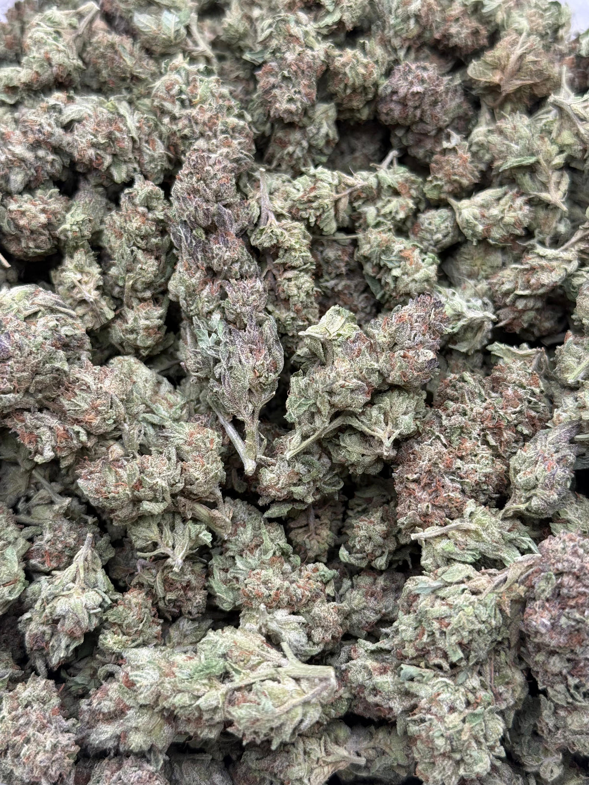 Silver Haze #455