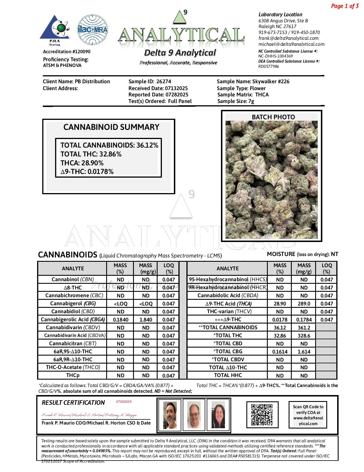 Skywalker #226